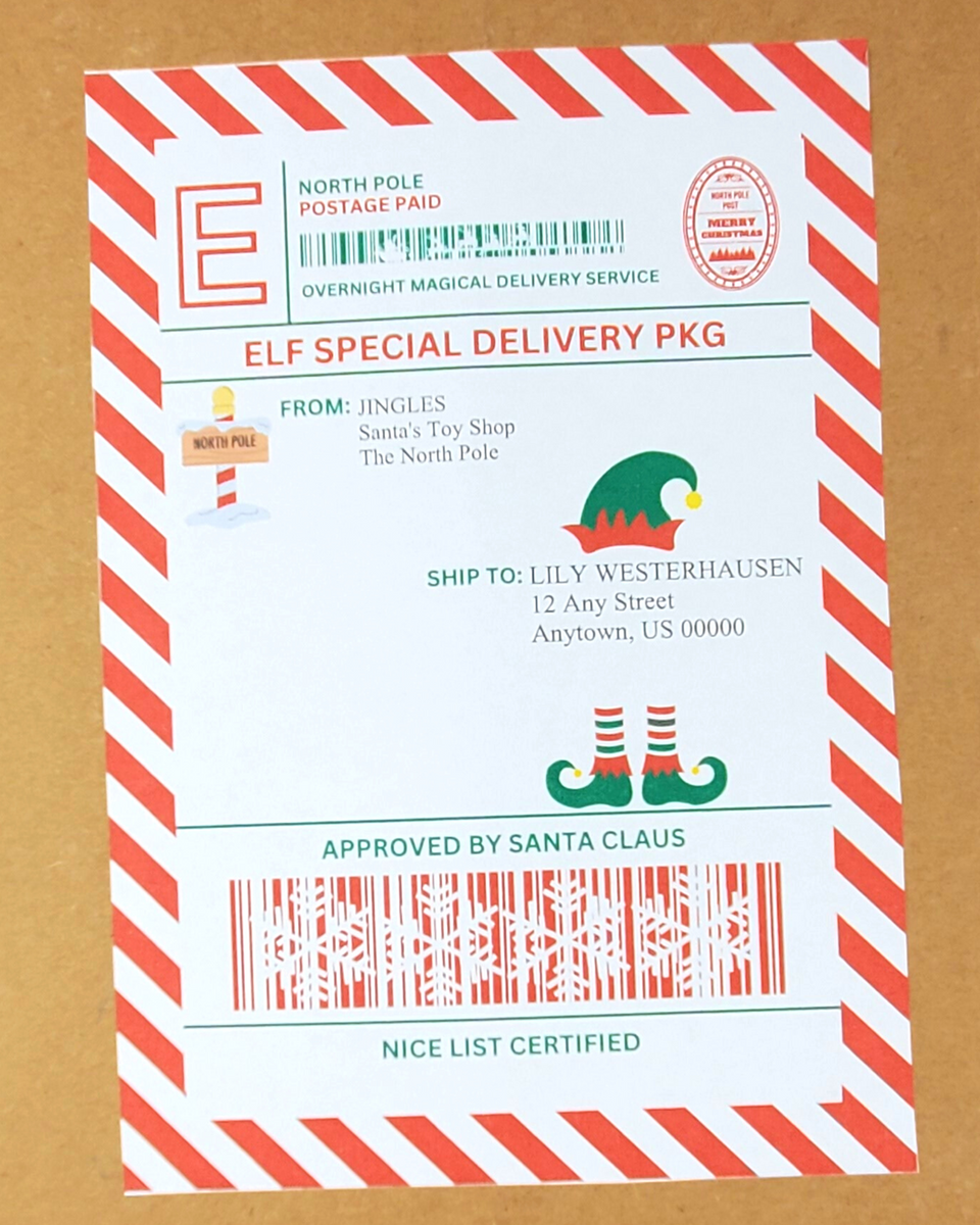 Santa's Special Delivery: Children's North Pole Stamp Christmas