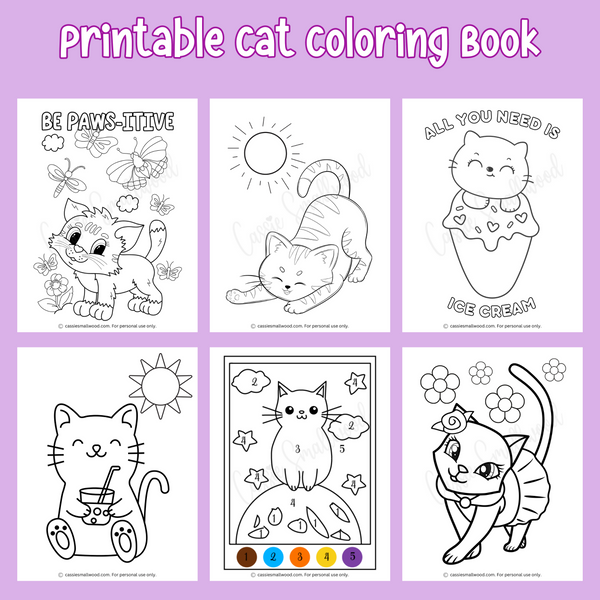 The Cat Coloring Book [Book]